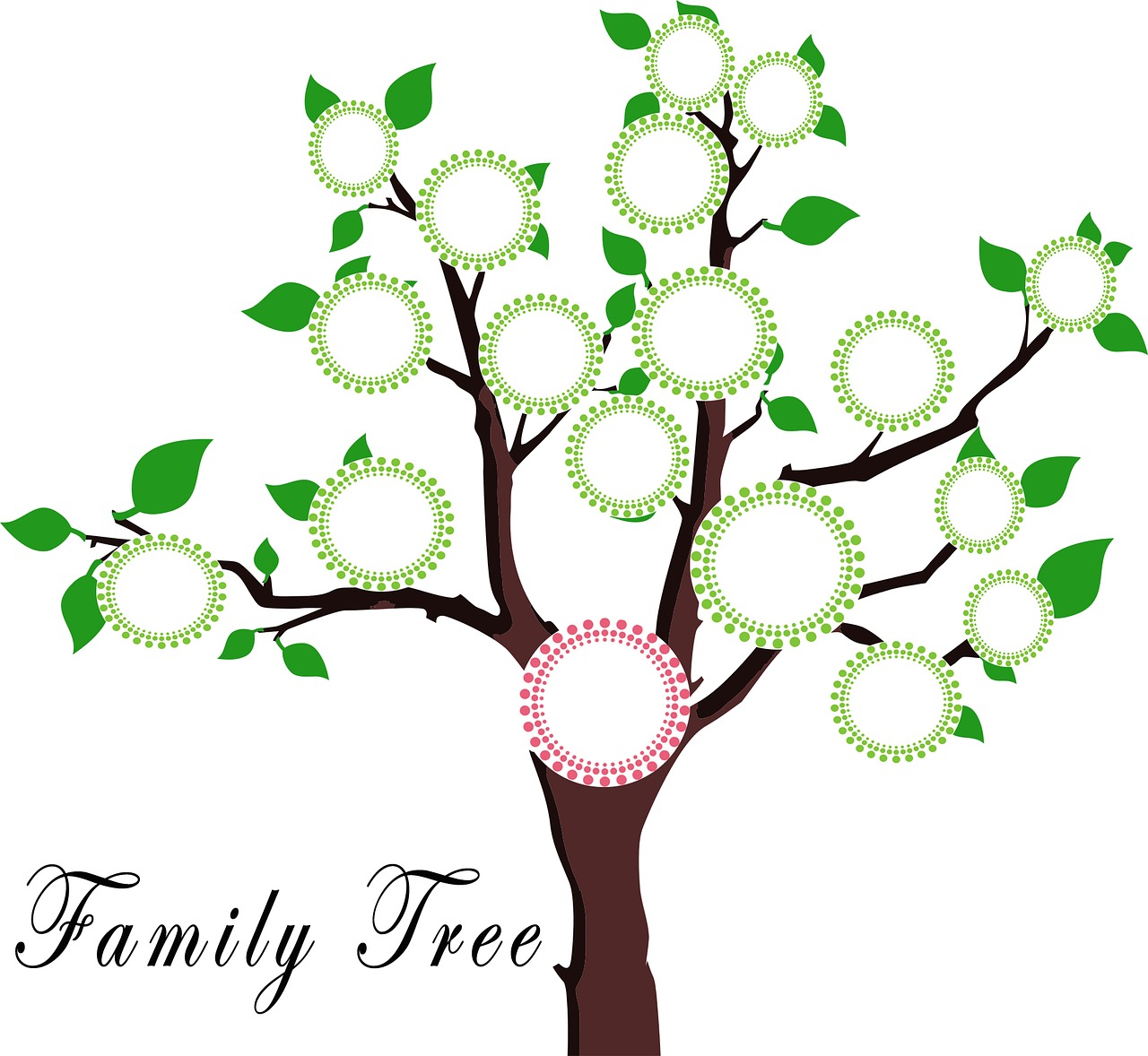 Course Image for 7802C221 Family Tree - Getting Started (Workshop)
